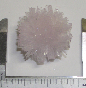 9月24日撮影菊花状結晶17.3gの粒