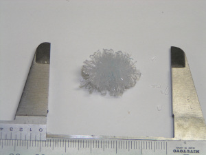 2月16日収穫した菊花状結晶の3.3gの粒